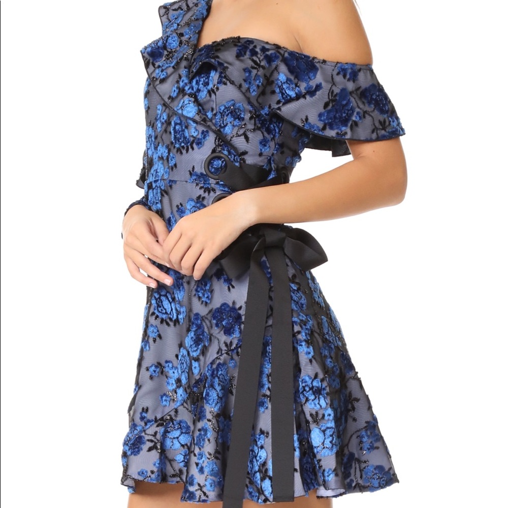 Self-Portrait Blue Dress